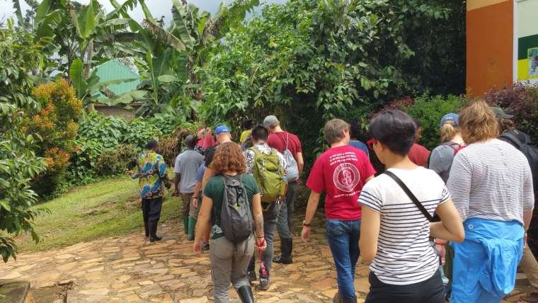 Forest Walks - Guided walks through Uganda's natural ecosystems