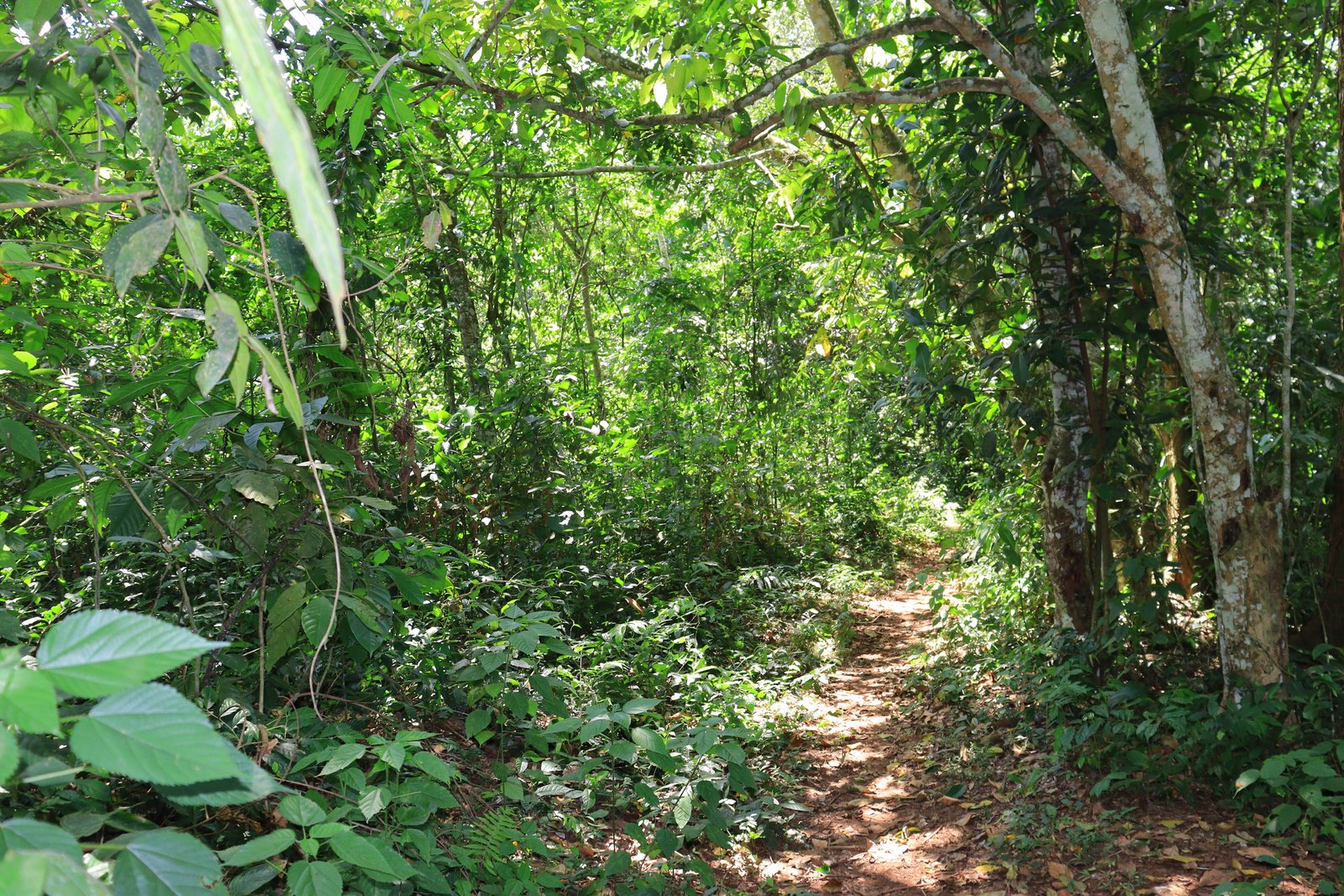 Wildlife Viewing - Observe various wildlife species in natural habitats